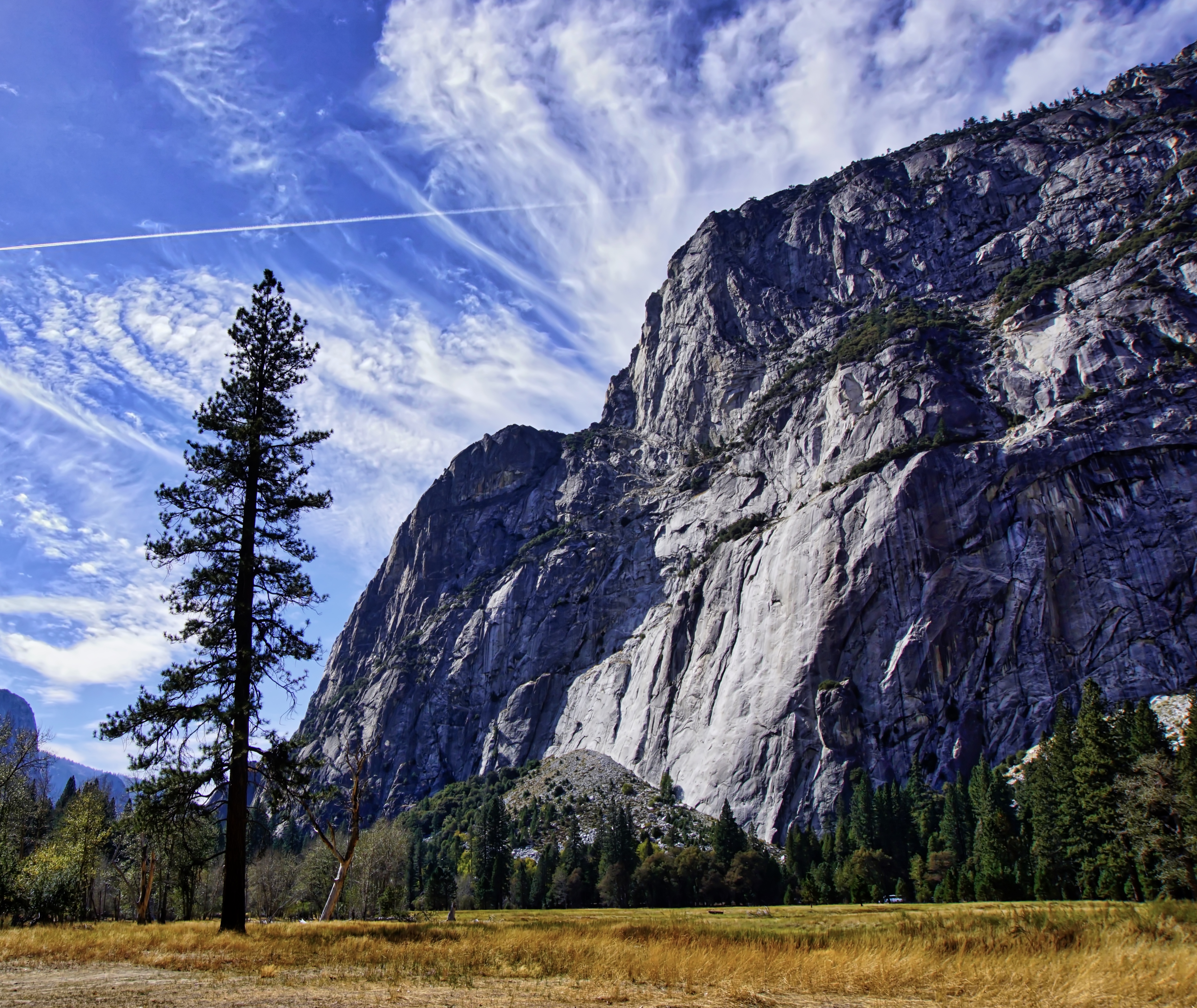 Intentional Smartphone Notifications